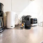 Gemuetliches Apartment Am Muskauer Park Sauna Zubuchbar Hunde Willkommen Ruhige Lage Bad Muskau