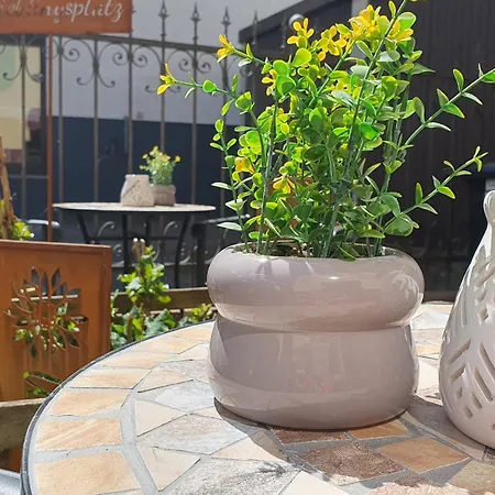 Kleine Huebsche Unterkunft, Sauna Im Haus, Hunde Willkommen, Nahe Park, Waldeisenbahn, Hermansbad, Unesco Geopark, Naehe Polnischer Markt, Lage Fuer Ausflugsziele Zum Wandern Oder Radfahren * Bad Muskau