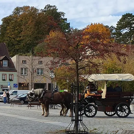 Gemuetliches Am Bad Muskauer Park Sauna Zu Buchbar Hunde Willkommen Ruhige Lage