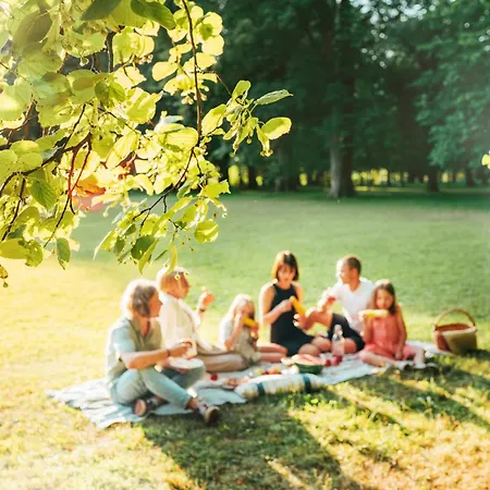 Gruener Fuerst Mit Sitzecke Im Innenhof & Naehe Park & Erdgeschoss *