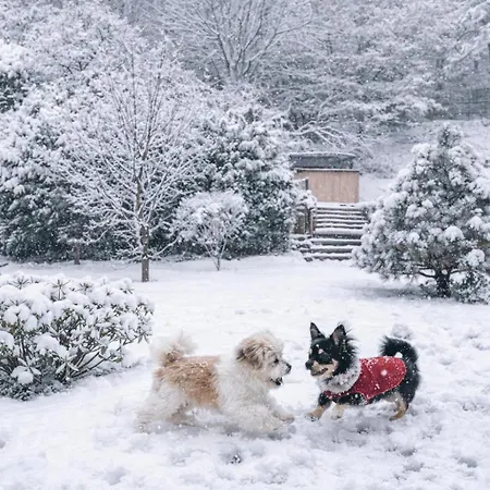 Appartement Kleine Huebsche Unterkunft, Sauna Im Haus, Hunde Willkommen, Nahe Park, Waldeisenbahn, Hermansbad, Unesco Geopark, Naehe Polnischer Markt, Lage Fuer Ausflugsziele Zum Wandern Oder Radfahren